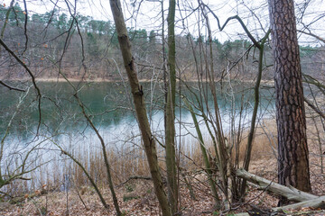 Idyllic view on 66-Seenwanderweg, Gamengrund, Germany, on a day in early spring