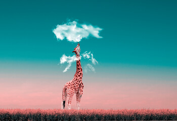 Giraf onder een wolk in een bloemenveld