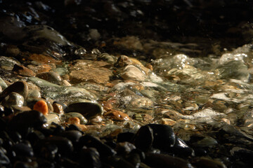 Sea pebbles. Small stones texture. A ray of sunshine in the surf of the sea.