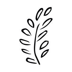 Hand drawn vector branch clipart. Herb illustration isolated on white background. Botanical doodle for print, web, design, decor, logo.