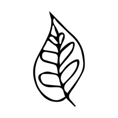 Simple leaf illustration isolated on white background. Hand drawn vector clipart. Botanical doodle for print, web, design, decor, logo.