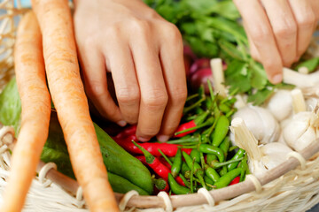 Woman's hand choosing chilli in the basket