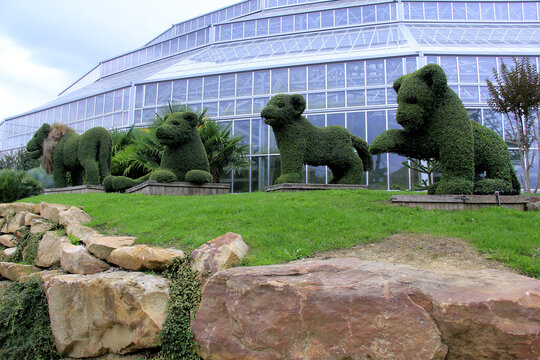 paysage au zoo