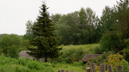 Summer landscape with russian village. Vologda region