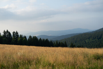 Fototapeta premium Polish mountains