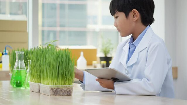 Asian student boy observation chlorophyll and experiment photosynthesis of plant in the laboratory. Kids boy learning to see the benefits chlorophyll in smart farming.