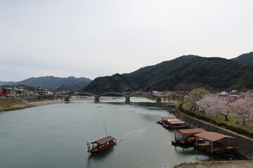 Fototapeta na wymiar A view of Kintai-kyo Bridge and Nishiki-gawa River in Iwakuni City in Yamaguchi Pref. in Japan 日本の山口県岩国市にある錦帯橋と錦川の一風景