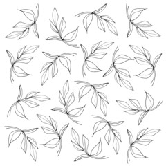 Background of branches with leaves. Linear execution style. Images for the design of postcards, posters and other printed products. Isolated image on a white background.