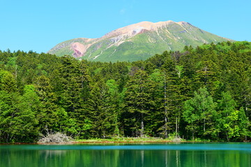 阿寒国立公園、初夏のオンネトー。足寄、北海道、日本。6月下旬。