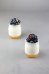 Homemade Italian dessert panna cotta with fruits jelly, fresh blue berries and honey on gray background. Copy space