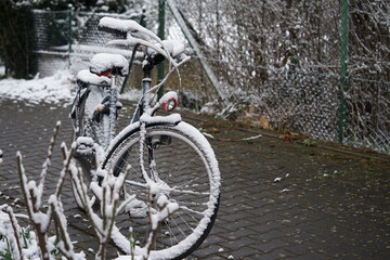 bicycles in the snow