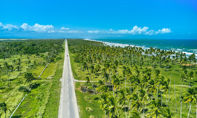 Beautiful Caribbean road with palm trees along the coast of Venezuela, aerial view.