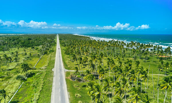 Beautiful Caribbean road with palm trees along the coast of Venezuela, aerial view.