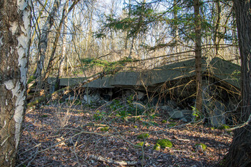 Mit dem Wald verwachsene Ruine der Dynamitfabrik Krümmel Geesthacht