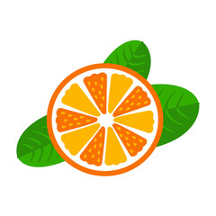 Orange or mandarin with leaves. Half fruit, fresh juicy slice of citrus fruit. Isolated vector