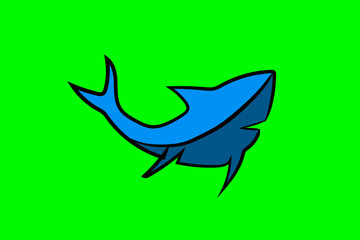 shark