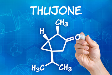 Hand with pen drawing the chemical formula of thujone
