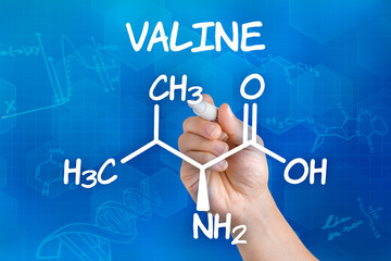 Hand with pen drawing the chemical formula of valine