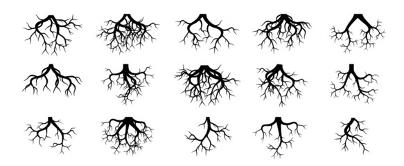 Collection of Tree Roots. Vector outline Illustration. Plant in Garden.