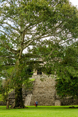 Fototapeta na wymiar Ruins of Palenque in Chiapas, an ancient Maya city in Mexico