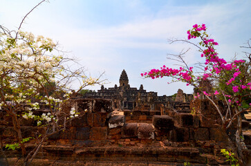 Angkor Wat temple complex, Cambodia. Beautiful view of ruins of ancient Bakong temple and blooming...