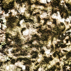 creepy cracks on medieval walls