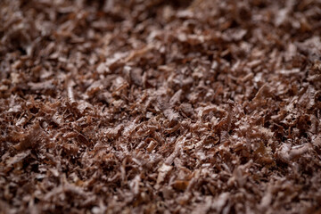 Walnut sawdust close-up. Sawdust background.