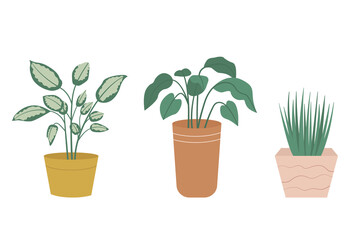 Collection of potted plants isolated on white background. Set of house plants in pots and planters in flat style. Vector illustration