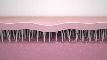 Wrinkle smoothing. Medical 3d animation showing a process of skin rejuvenation, the rebuilding of collagen and elastin fibers, wrinkles removing and skin tightening. The effect of anti-aging treatment