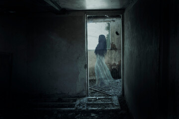 A woman ghost in a long dress floating past a doorway. In a haunted abandoned spooky house. - obrazy, fototapety, plakaty