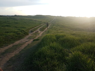 Runner guy through a long path