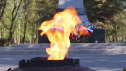 burning eternal flame fire in Russian memorial monument, in honor of victory day 9 may holiday. flowers, Russian flag symbols, victory in war war II, Second World War memory, eternal fire nine May Day