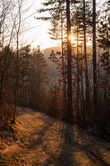 Naklejka premium Landschaft zum Sonnenuntergang