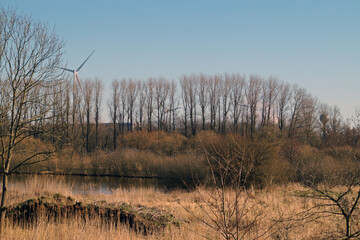 wind turbine in the field