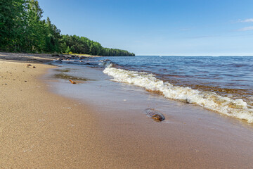 Landscape of Lake Onega on a sunny summer day. Beautiful sandy beach and blue water.