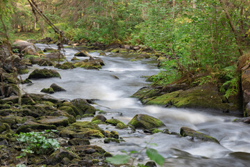 Mountain stream. River flows through the forest.