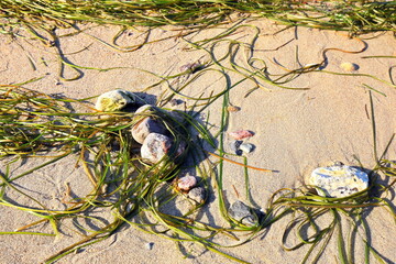 Klein Zicker dreamy landscape on the Baltic Sea island of Rügen