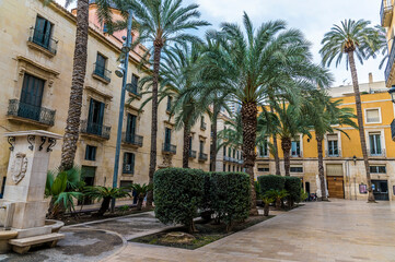 A view across a palm tree line square in the centre of Alicante on a spring day