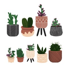 Succulent in the decorative flowerpot. Design interior by home plants. Botanical minimalism. Cartoon style. Cute plant in little pot for home or office garden. Hand drawn vector illustration.