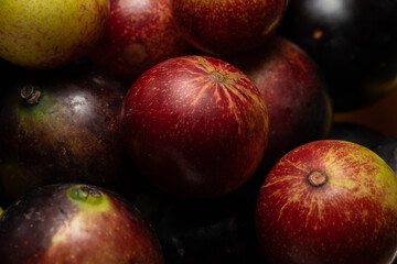 Fruits of Camu Camu (Myrciaria dubia), grows on the banks of the rivers of the Amazon, is very common in the markets, also used for the preparation of soft drinks, desserts and liqueurs, has a very pl