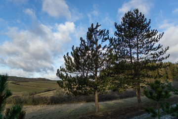 Landschaft im Frühjahr