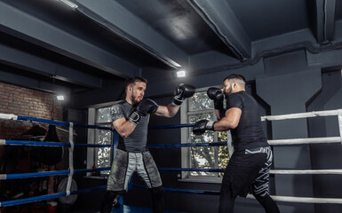 Two kickboxers, fighters fight with gloves in a boxing ring. Sparring partners