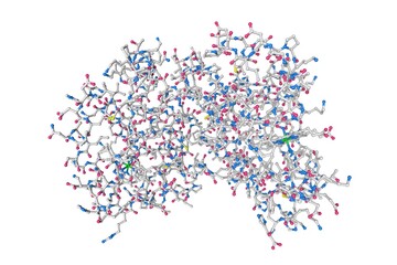 Human hemoglobin nitric oxide adduct. Molecular model. Rendering based on protein data bank entry 4n8t. Scientific background. 3d illustration