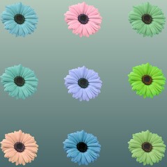 Spring blooming flower 