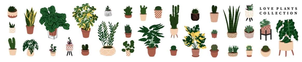 Collection home plants in the modern flowerpots. Beautiful composition with nature elements in the interior. Design for home and office. Hand drown. Flat style in vector illustration.