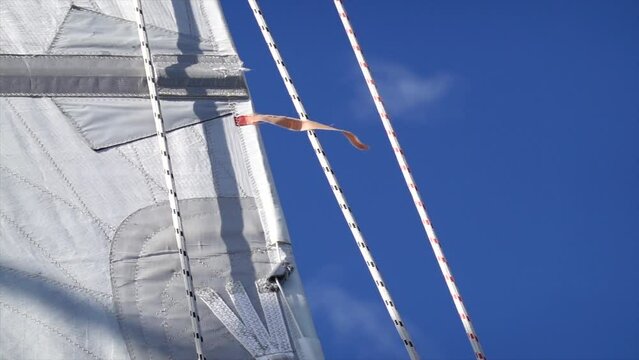 Close up shot of the backstay, topping lift and leach on a sailboat