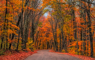 A country road, Arowhon Road, Algonquin Park in autumn, Canada 