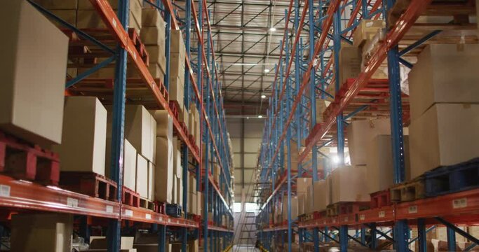 Empty warehouse with multiple boxes on shelfs with ladder on floor