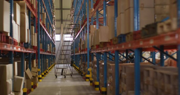 Empty warehouse with multiple boxes on shelfs with ladder on floor