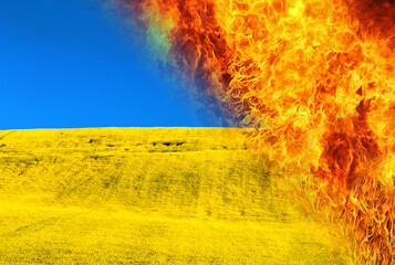 Ukraine flag and flames from fire. Blue sky and yellow field